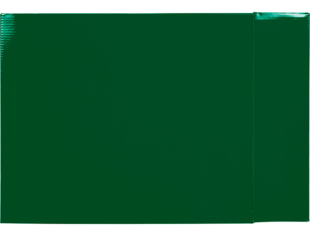 CAJA ARCHIVADOR LIDERPAPEL DE PALANCA CARTON FOLIO DOCUMENTA LOMO 75MM COLOR VERDE